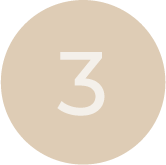 Phase 3